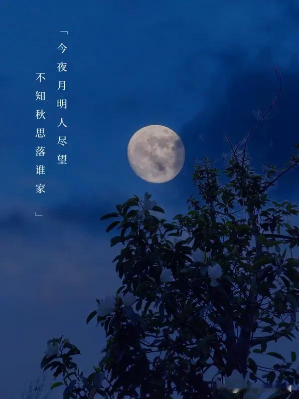 “花前我是题诗客”这句上联真是韵味十足，勾勒出一幅花前题诗的雅致画面。最近它在诗