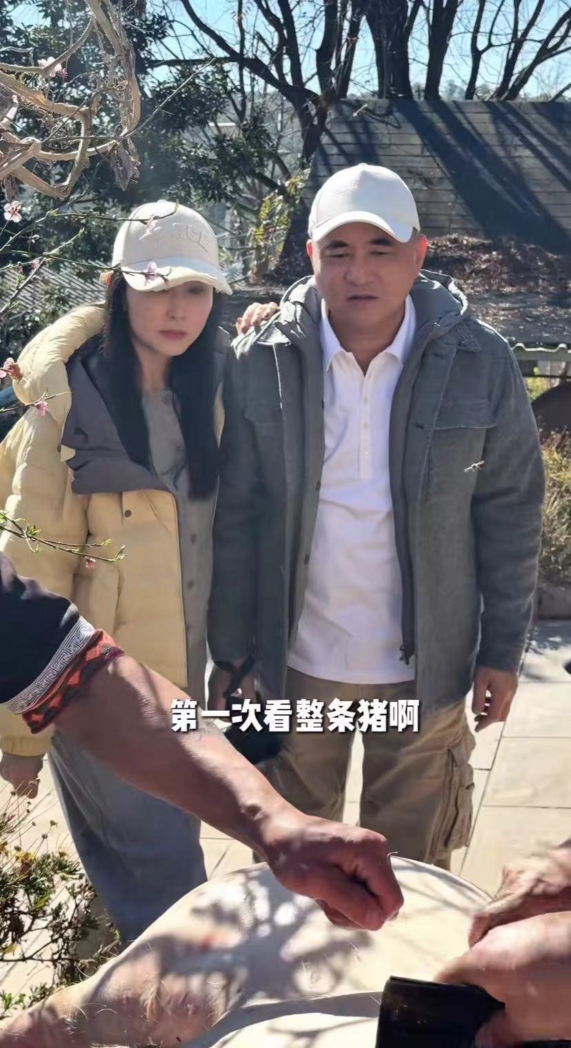 胡静带着富豪老公回家乡元谋，砍甘蔗，熬红糖 