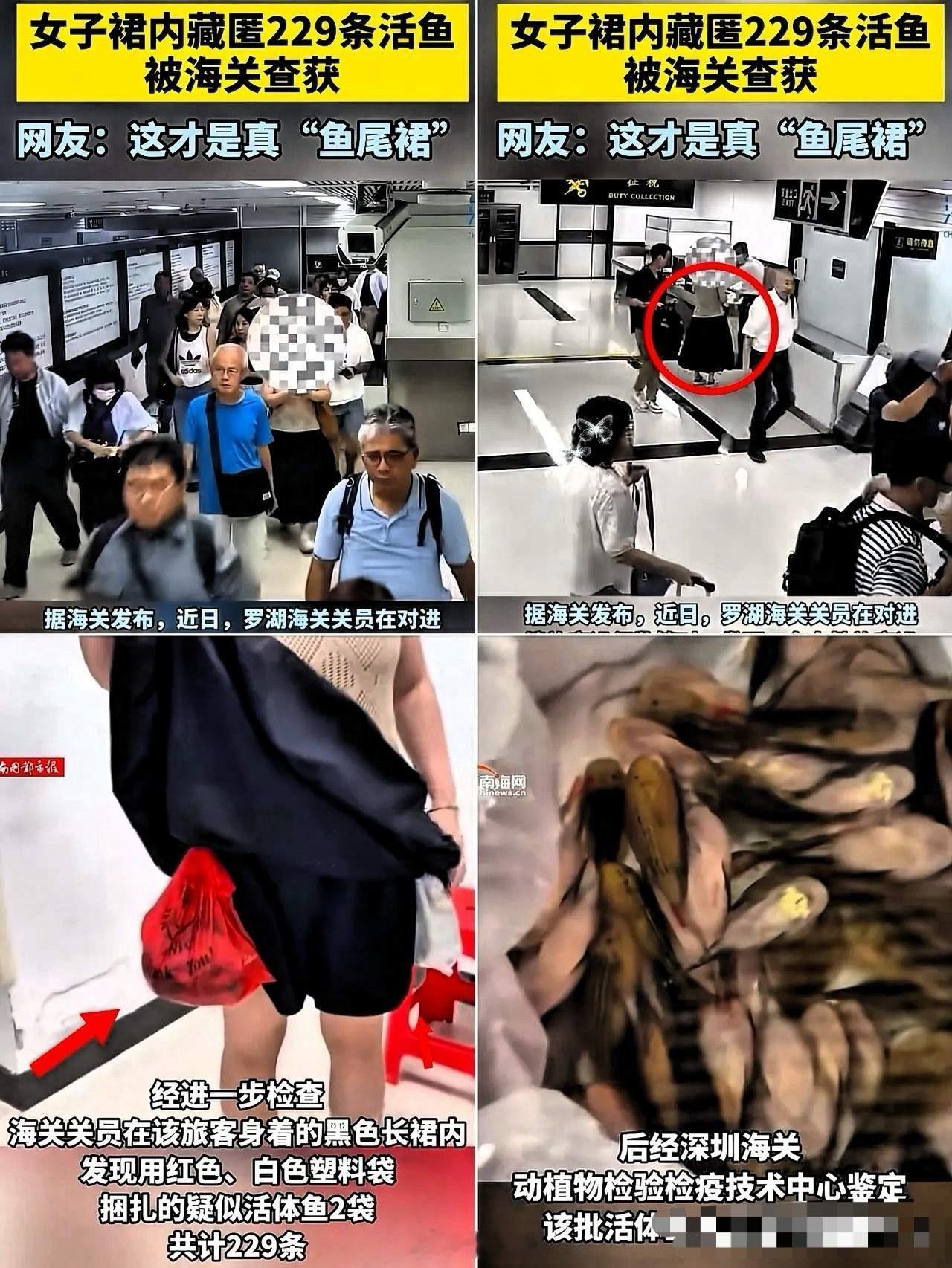这下出名了，不仅深圳，全国人民都知道了！深圳海关女查员识破女的非常规旅客行李，2