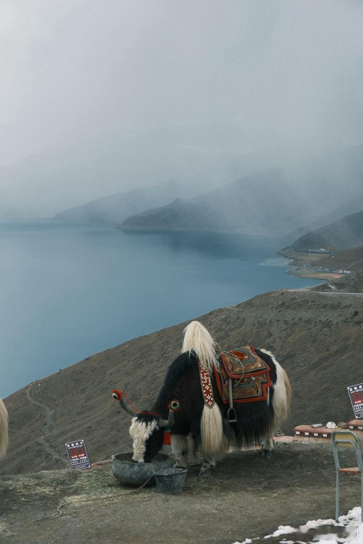 西藏之旅DAY2：羊湖雍措天上仙境，人间羊卓，阴天也抵挡不住它的美 