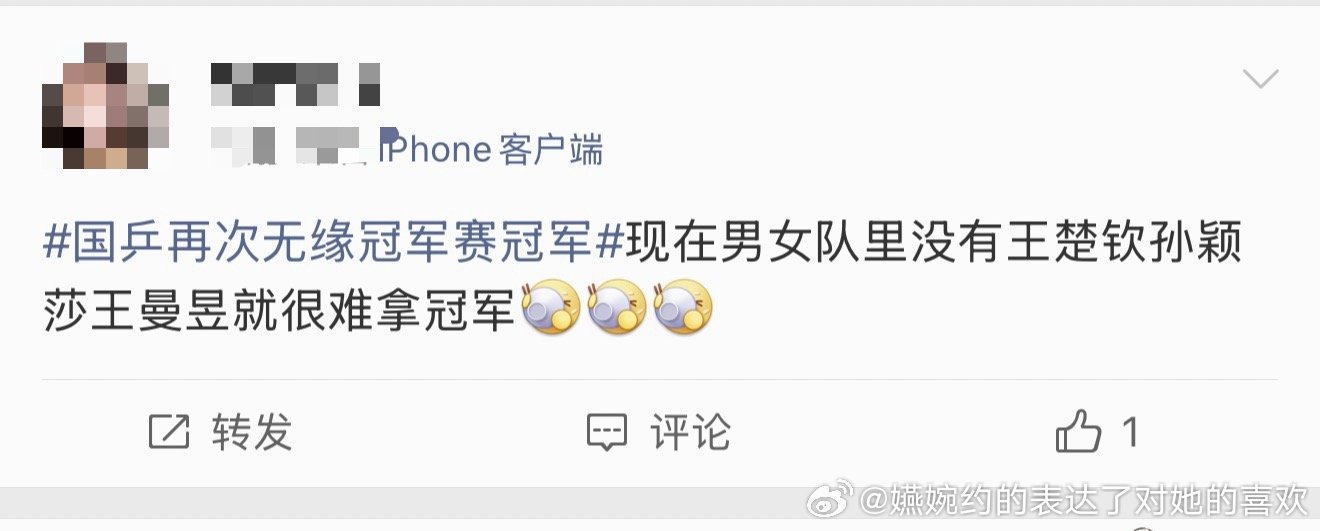 国乒再次无缘冠军赛冠军我怎么记得姓王这两个人，上次比赛一个16强一个32强