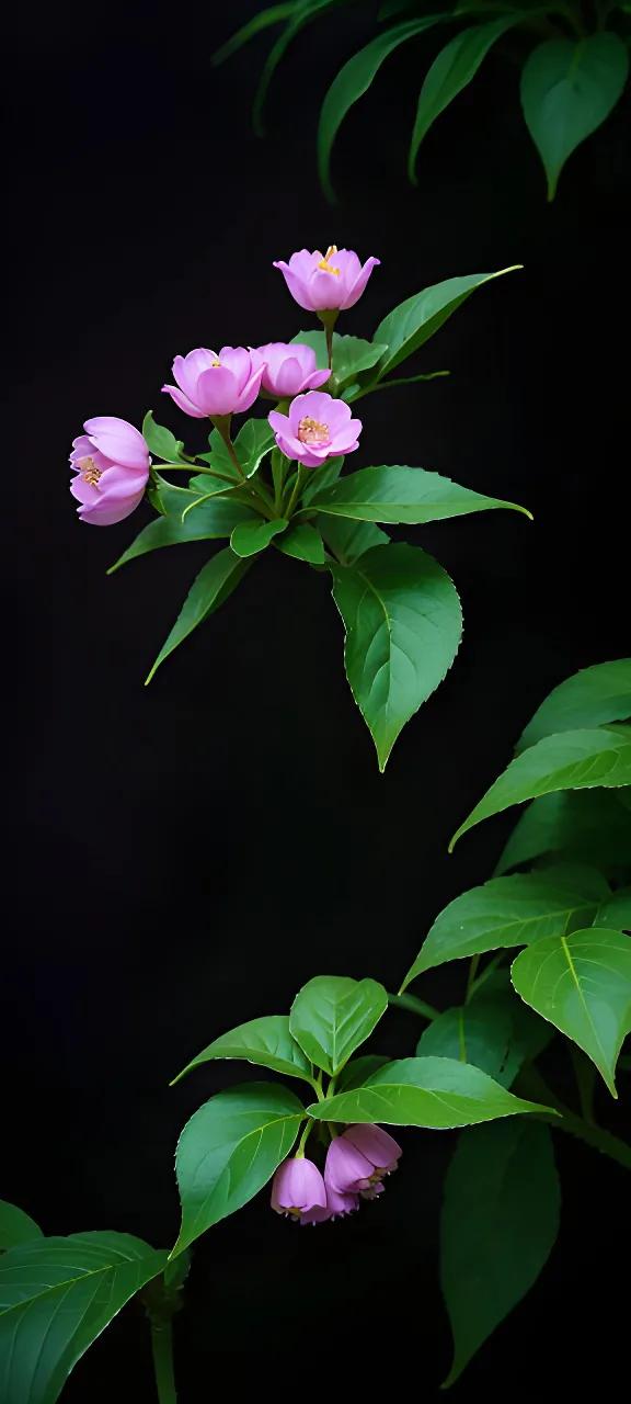 翠叶扶芳蕊，清风送暗香