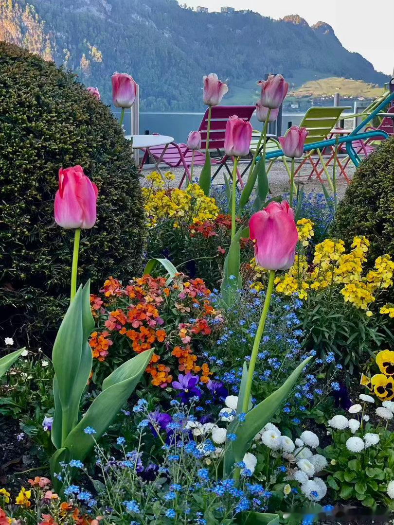 事缓则圆，下一句人缓则安，可以说是人间至理。通俗来讲，就是让子弹再飞一会儿。老话