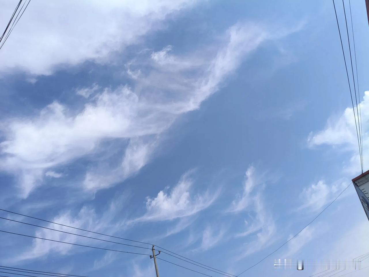 老道士曾经说过我中年交友不慎，遇人不良，不适合合伙做生意。

18年的时候和朋友