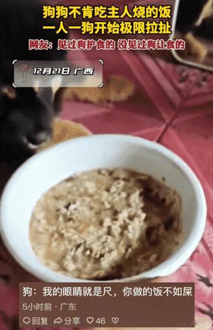 笑喷！护食的狗子遇上主人做的饭，直接开启“推饭模式”。看似是厨艺翻车，实则是狗狗