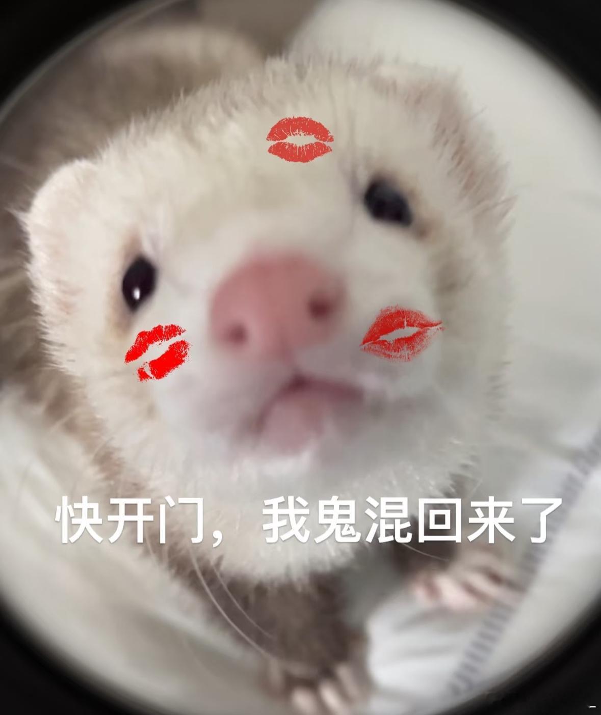 【不限圈】🧱抽5️⃣个10r 带我宝贝来🈷️🈷️有kjj 能长期sx🐏的