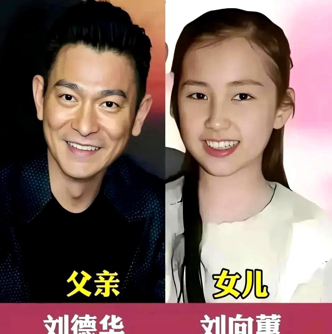 贾乃亮放下镜头陪娃搭积木，夏雨带儿子摔了再爬起来——爹不光是养家的，是陪玩的，是