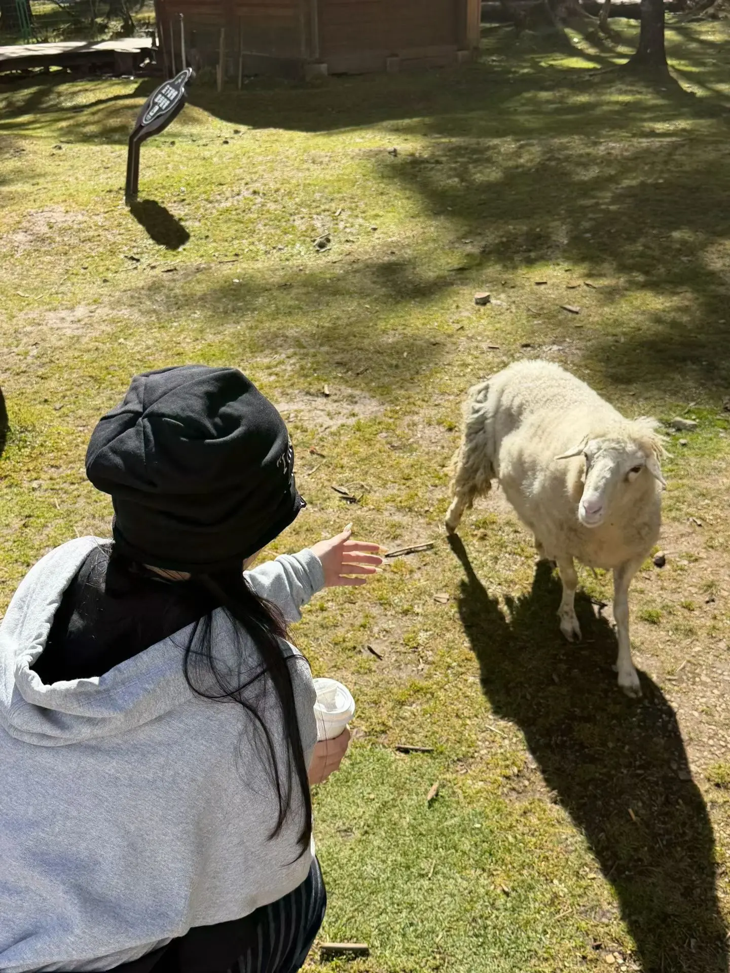 日子很好 我很我