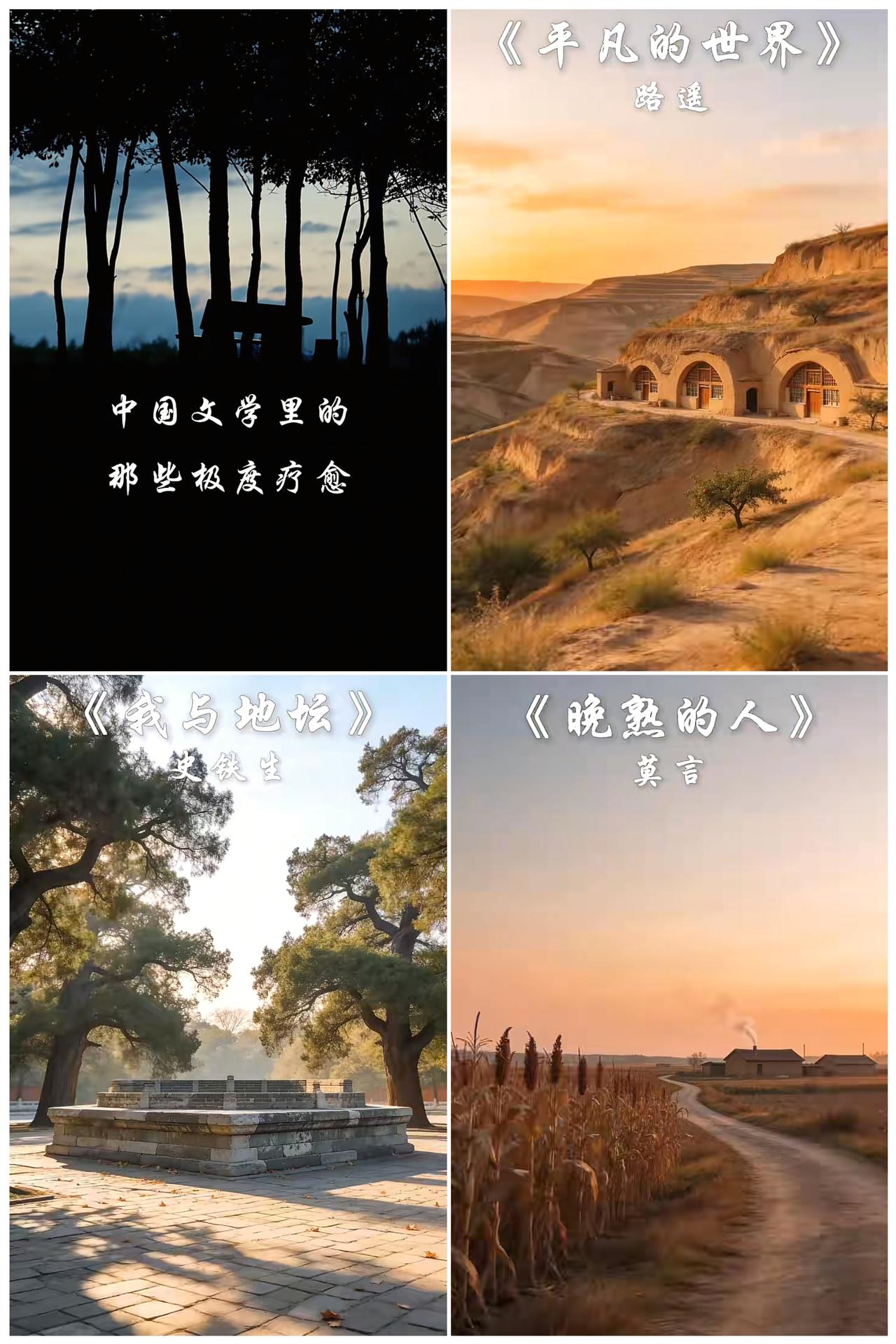 中国文学里的极度疗愈
       生活总有猝不及防的疲惫，而读书，是成年人的避