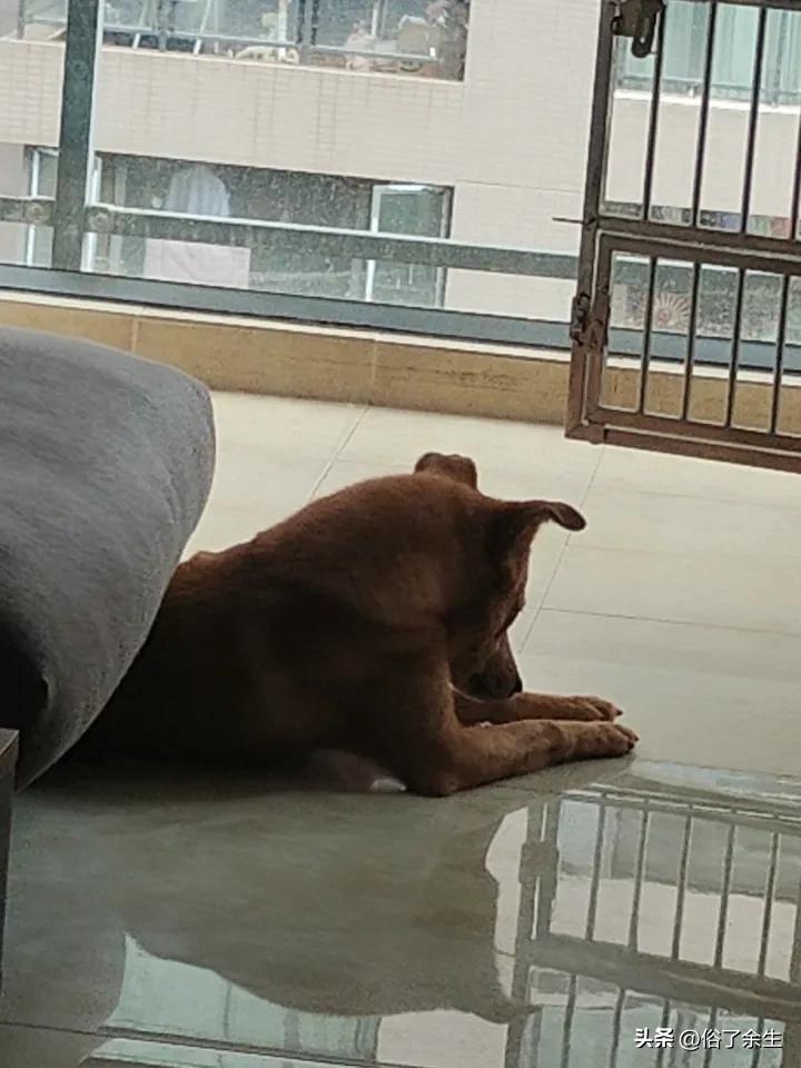 晒图笔记大赛寻找寂寞