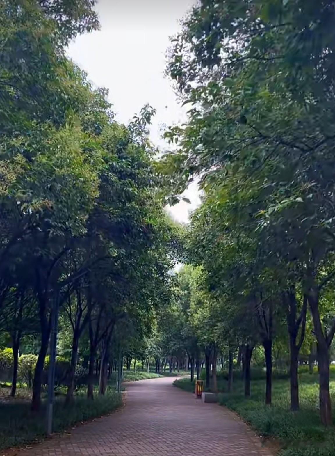 努力，是成功的一半。人生道路上难免会遇到挫折，但我们不应后退，应向理想之路奋勇前