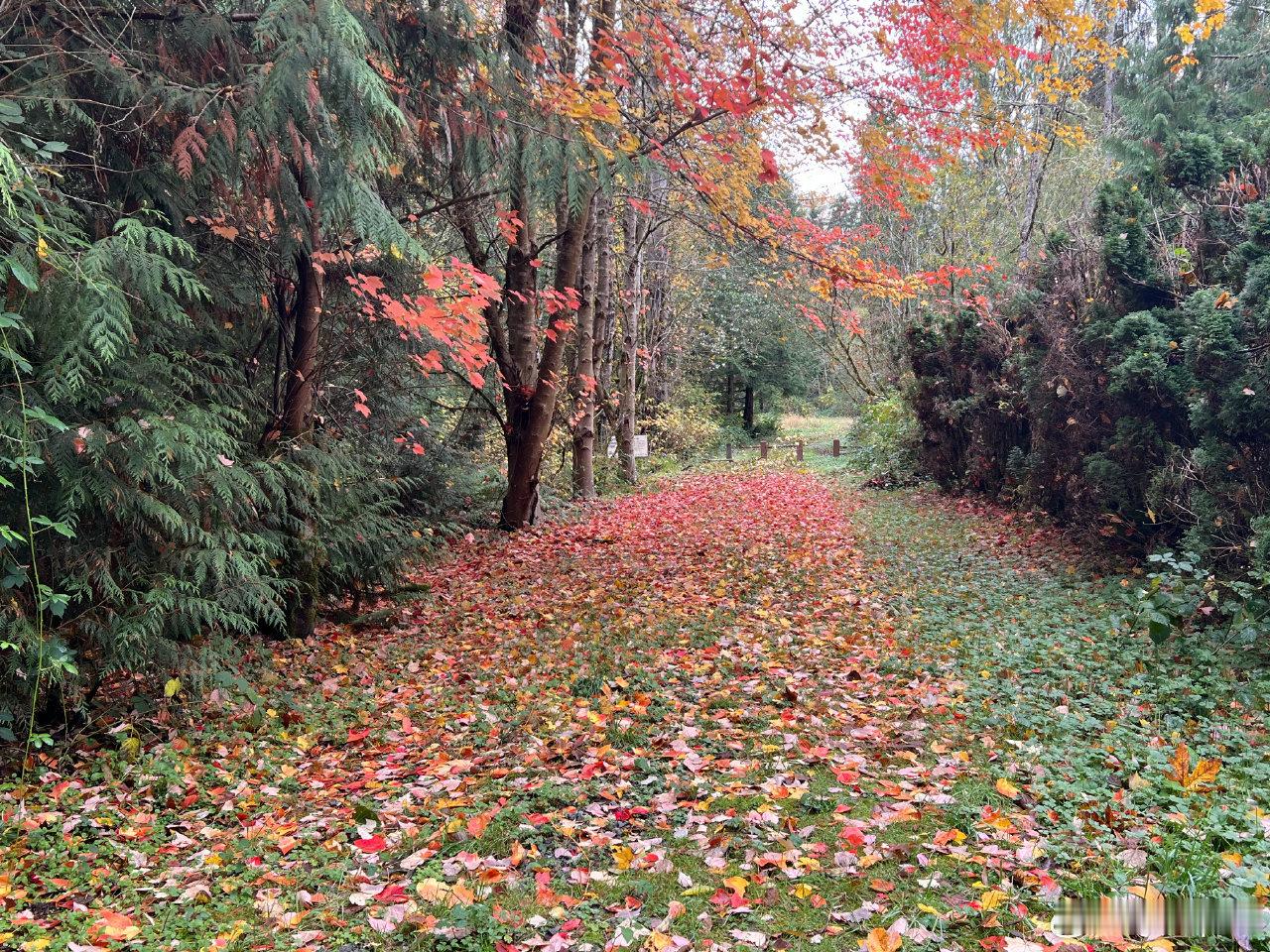 本轮大周期视角下，无论是经济上的最困难时点，还是市场本身最悲观的时点，都过去了，
