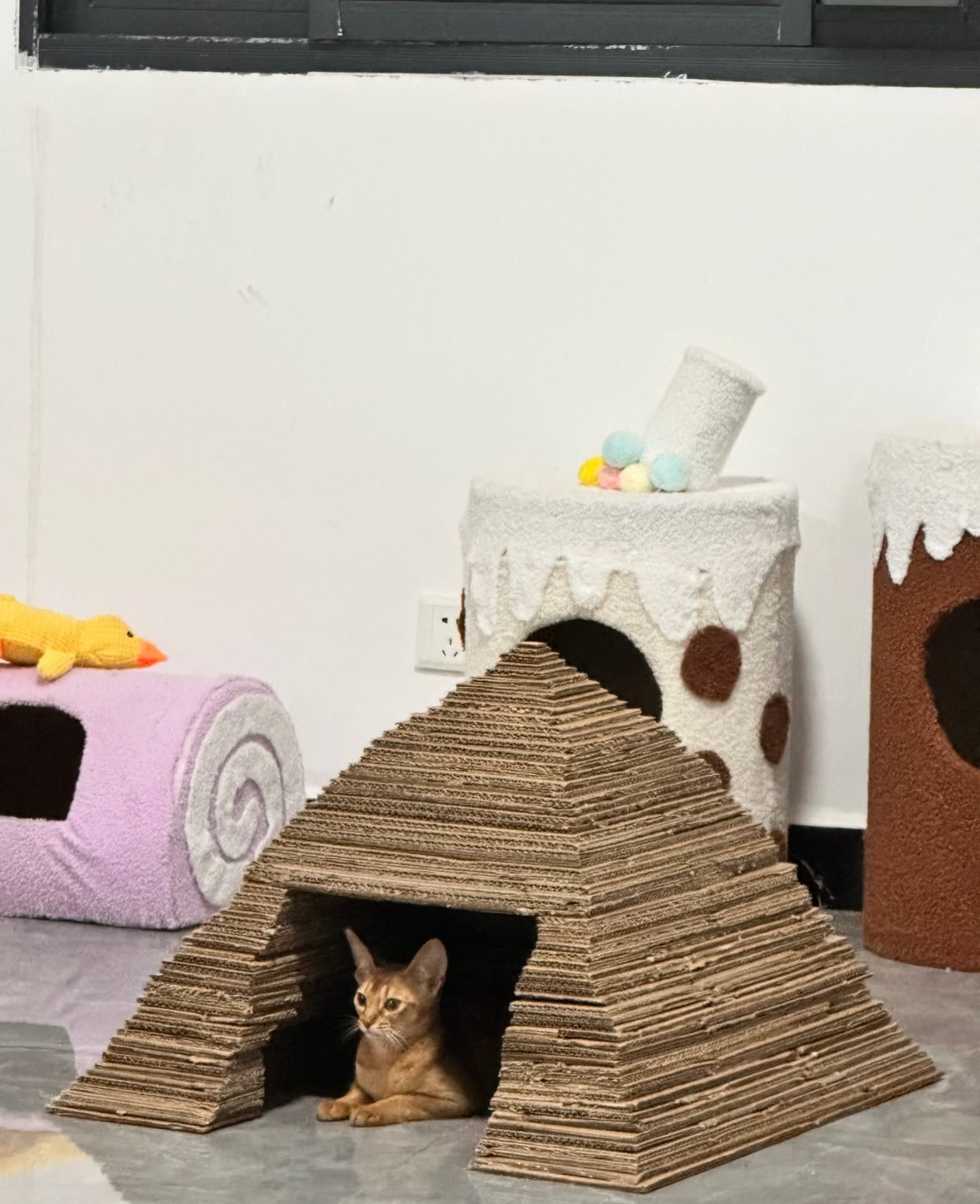 给小猫做了个专属金字塔猫抓板 