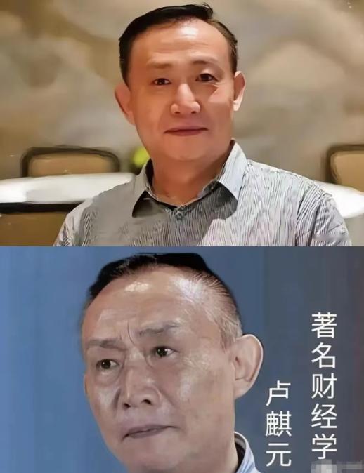 在部分金融圈层里，提起卢麒元，不少人都会脱口而出“脑子有病”。这句评价并非源于学