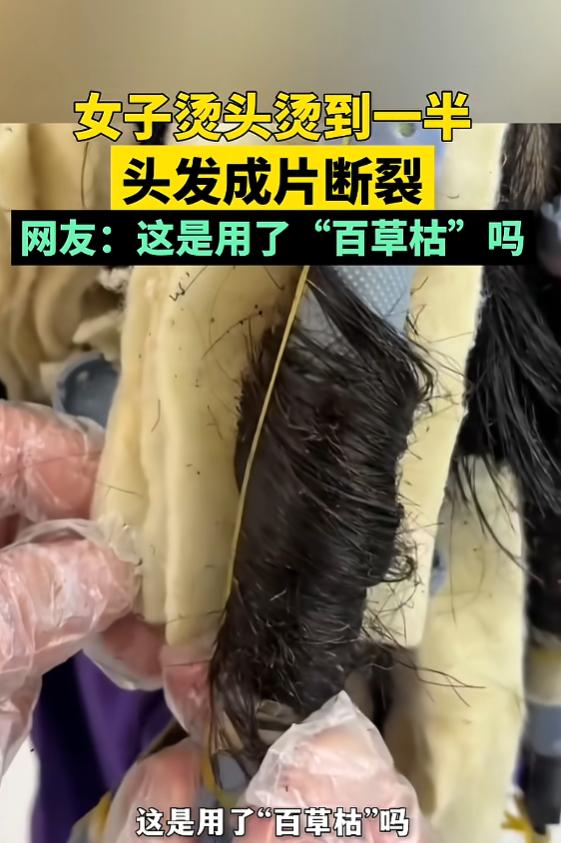 “太吓人了！”7月11日报道，河北，一女子很爱美，她精心留了一头长发，去理发店想