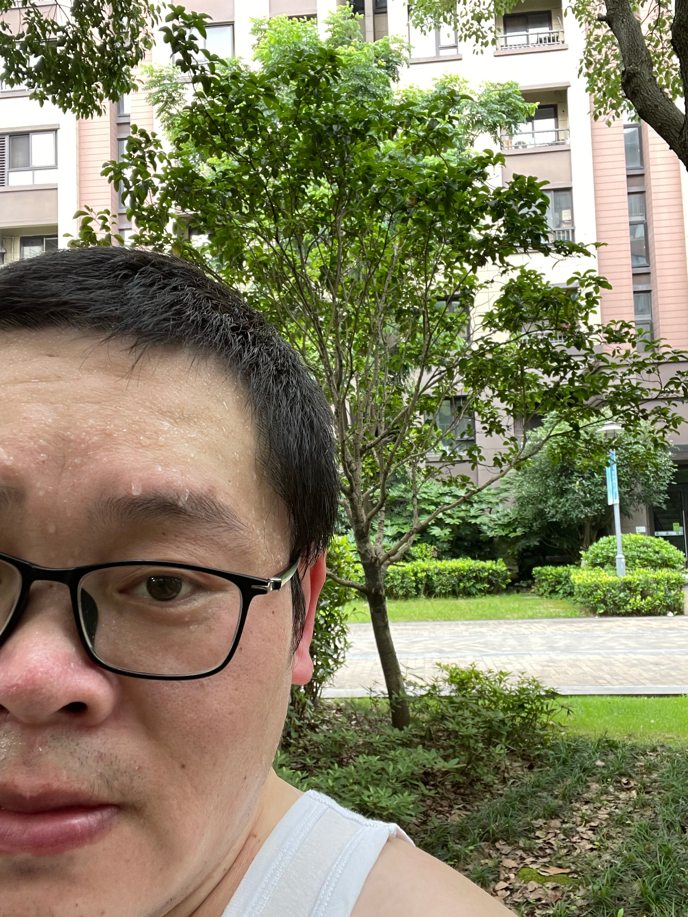 你们跑步了吗？ ​​​