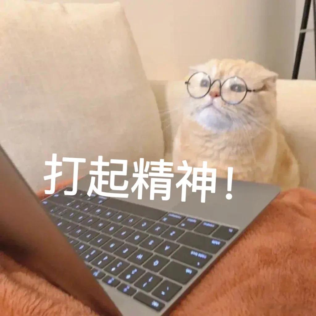 困难只是暂时滴，前途会是光明滴，雄起、雄起，打起精神。 