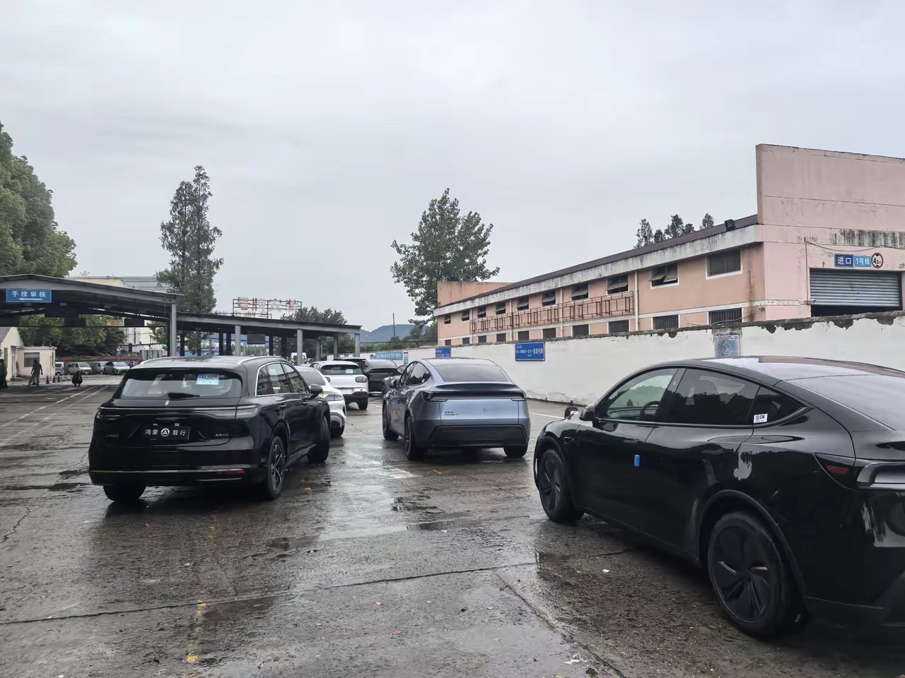 到车管所上牌，发现油车一辆都没有，这说明老百姓心里跟明镜似的。 