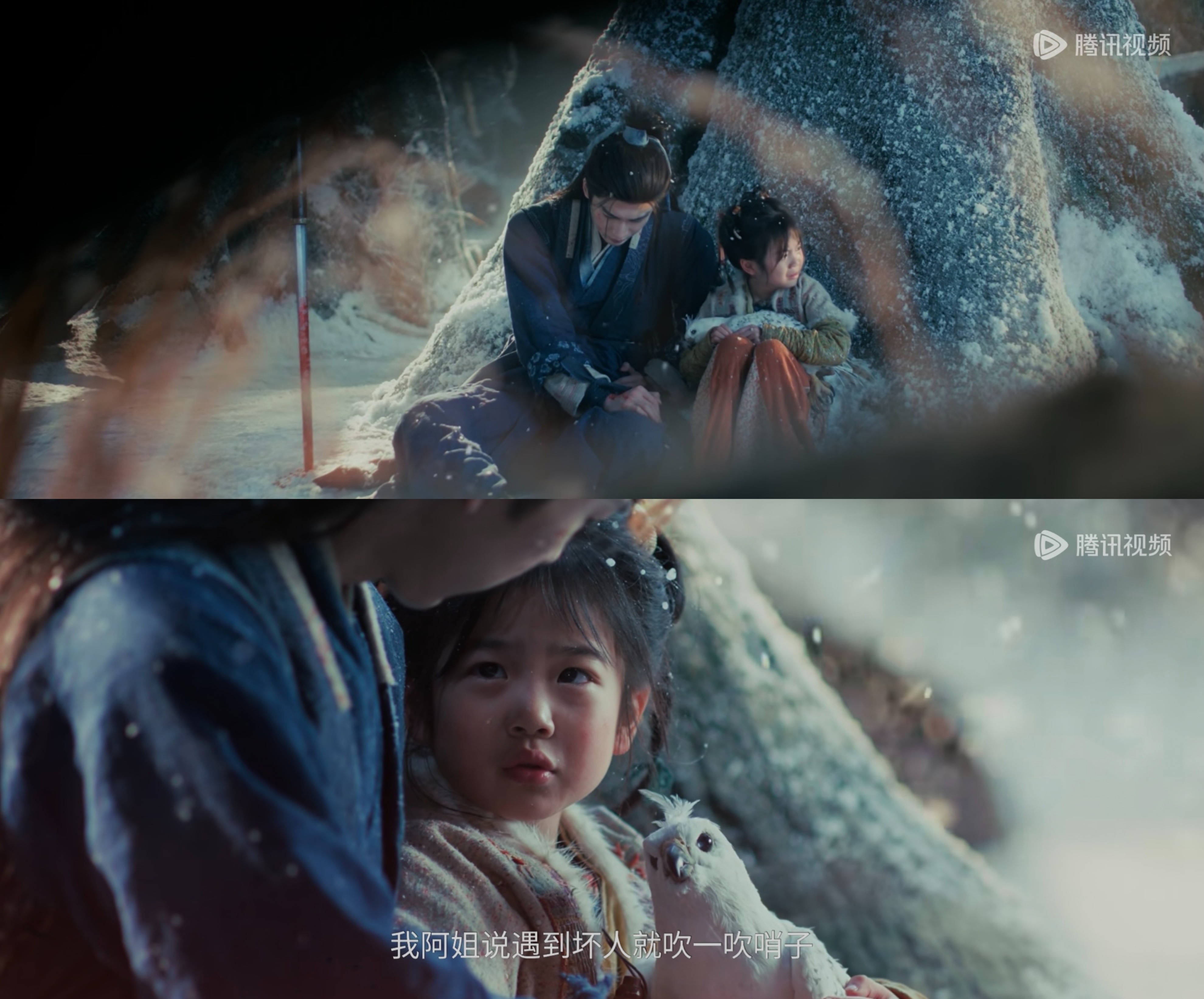 笨鸟好福气谢征逃命也带着你🤏🏻 