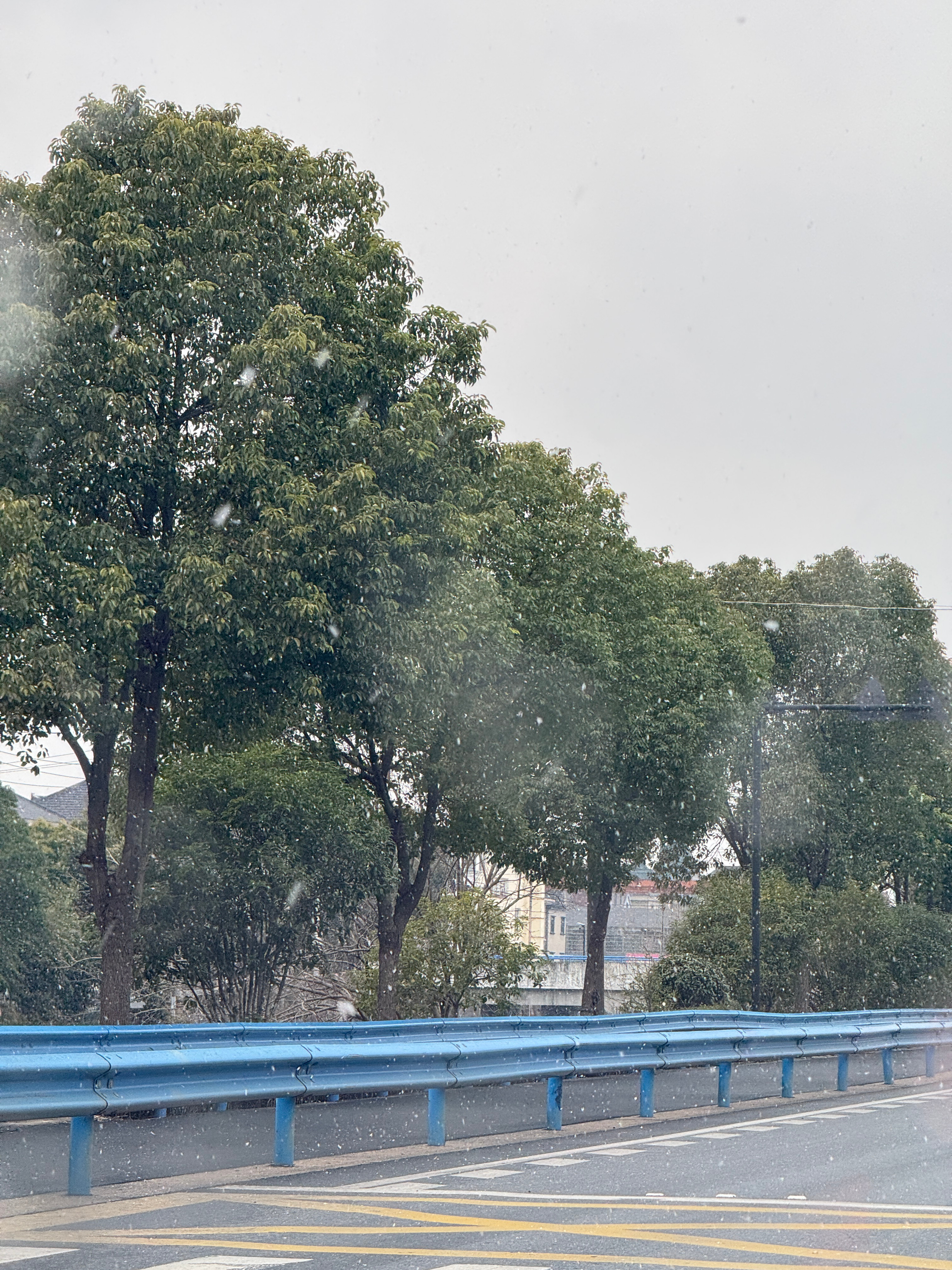 早上好朋友们，杭州也下雪了 杭州下雪