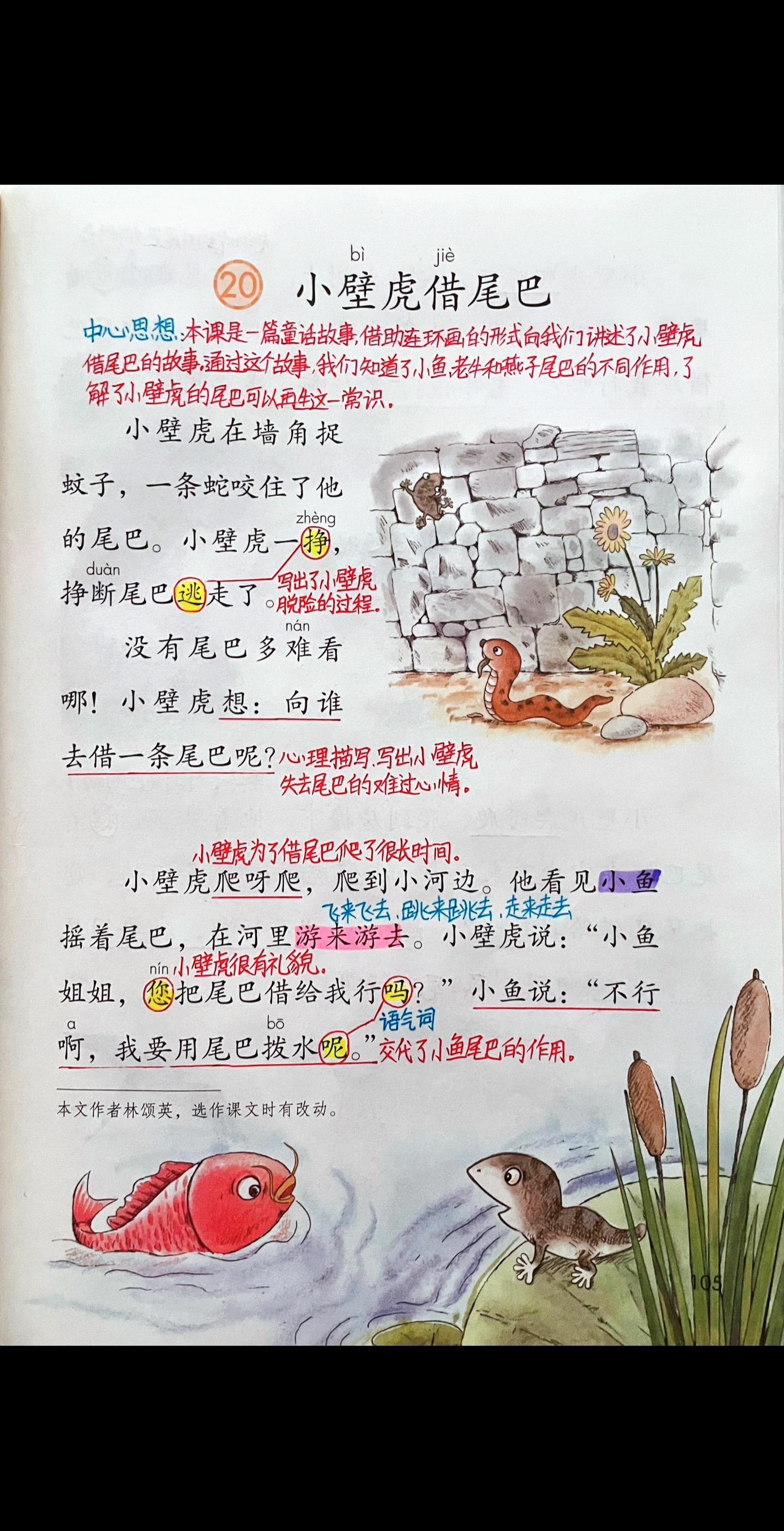 一年级下册语文《小壁虎借尾巴》知识点笔记，最后一课了，很多姐妹说孩子都开始复习了，我们主打稳扎稳打，加油。