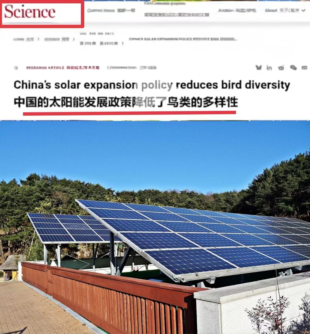 为了在国外顶级期刊发表论文，一些国内学者偏偏不走寻常路，削尖脑袋要挖掘一些“非常