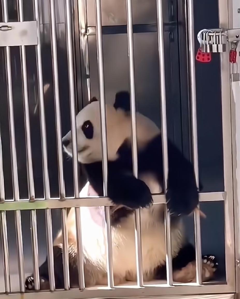 咱就说飞云是犯了天条了么？需要六把锁锁上[捂脸]
看给人家弄得手足无措的[笑哭]