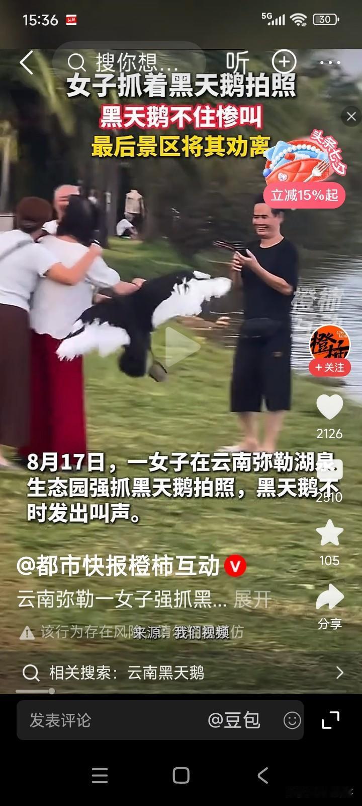 云南有位女子到公园游玩，她瞧见湖里的黑天鹅模样十分好看。
女子突然伸手一把抓住黑