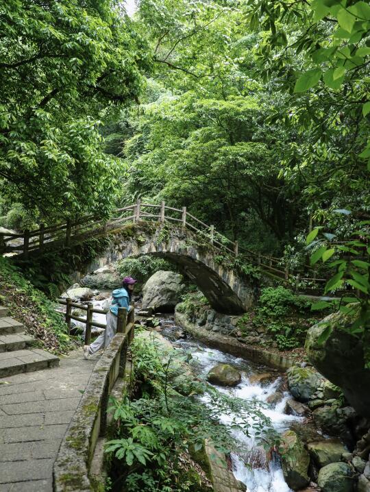 成都徒步|巨凉快！后悔没早点来爬这座山！