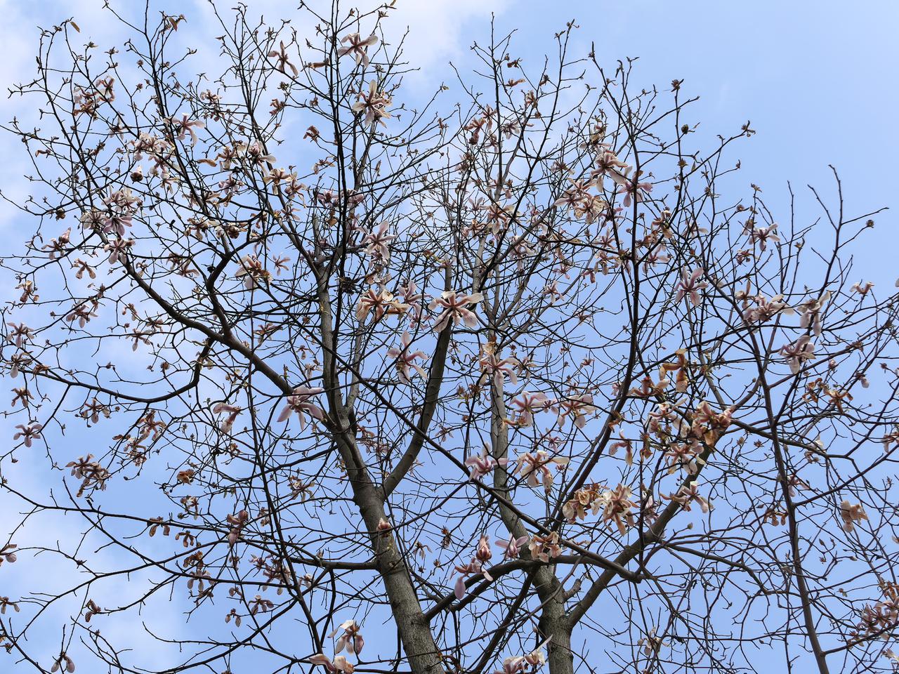 昨夜，美股黄金大跳水，原因找到了！

一觉醒来，全球金融市场经历了一场“美元流动