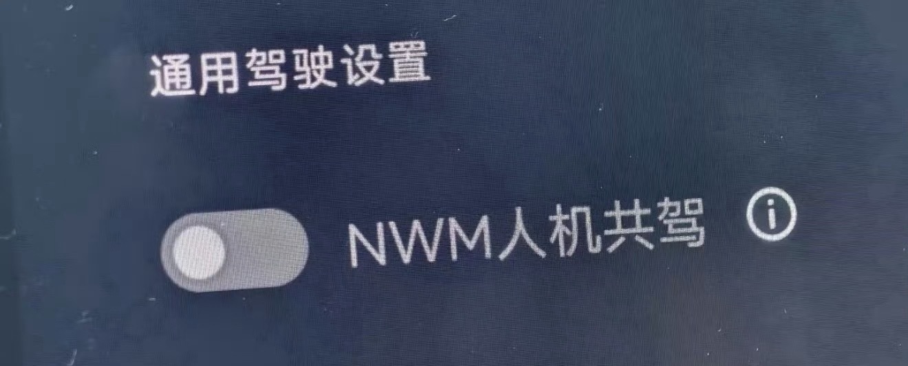 nwm2.0会有人机共驾了？客观来说我挺喜欢人机共驾的，可以在一些场景下更丝滑的