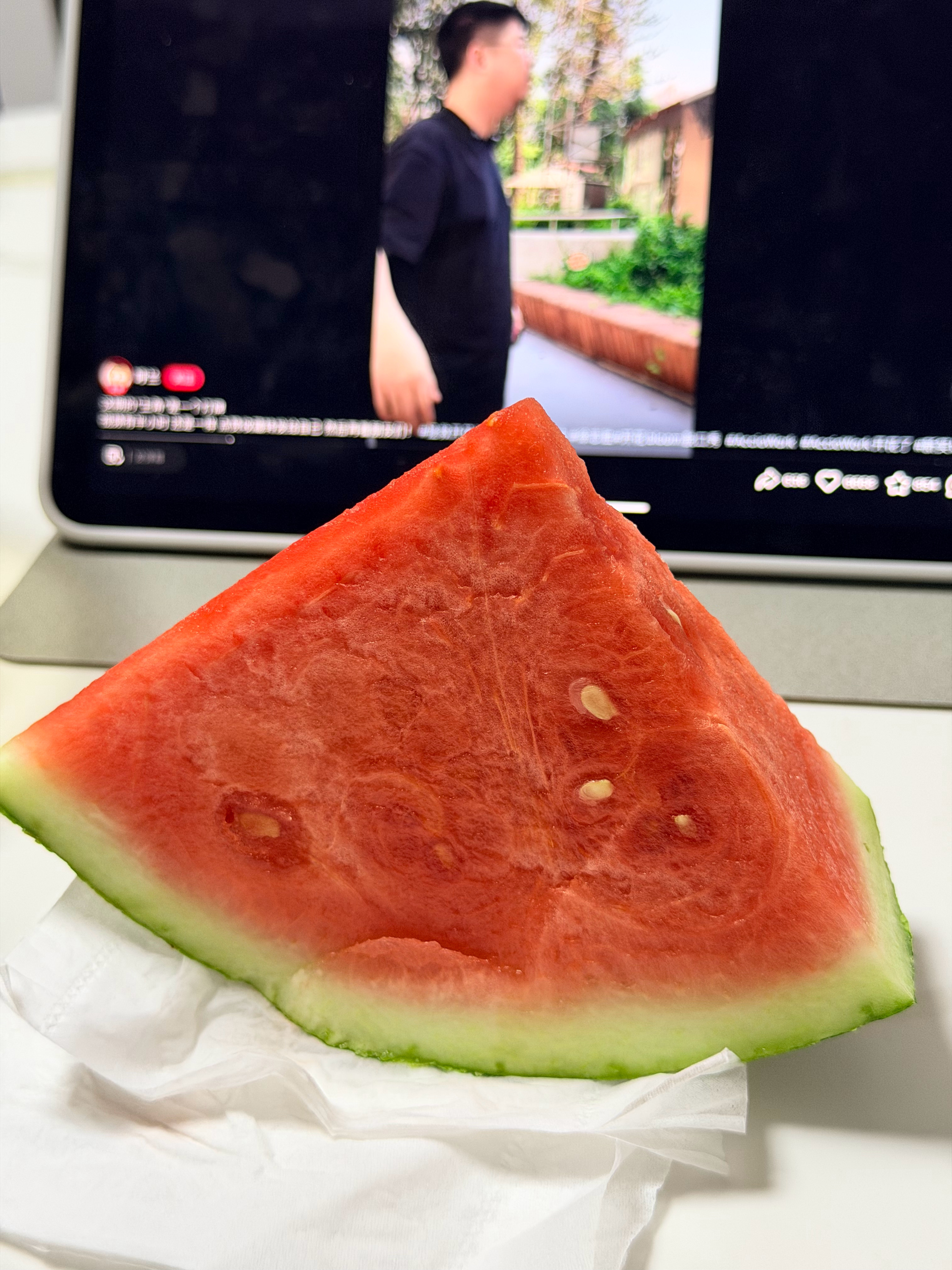 补上昨天的啃秋🍉拯救开花计划这小破综艺还真挺有意思 