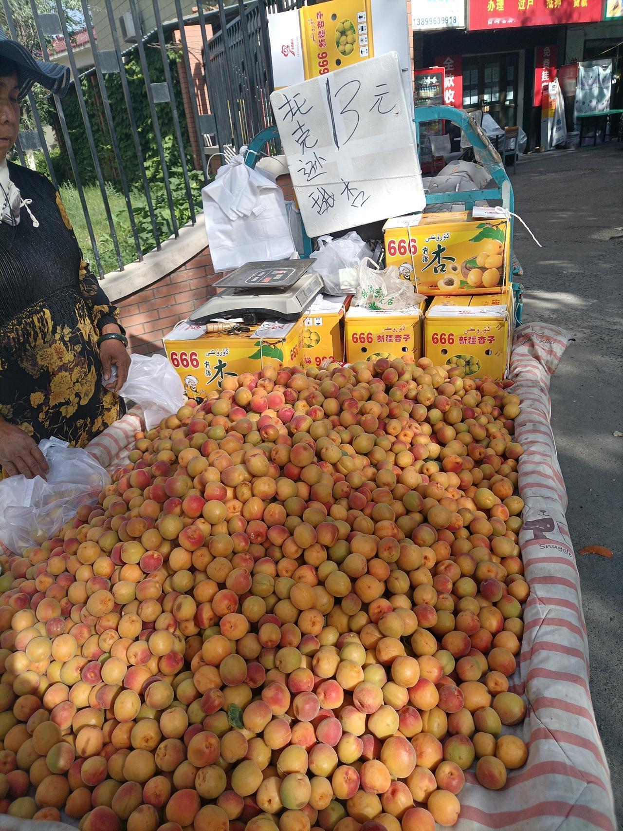 昌吉有托克逊县杏子在售卖

       今天上午我去昌吉富民市场买菜，在南公园