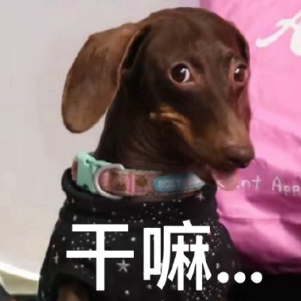 时尚天资真是一个很残酷的事情…有些人的时尚表现力堪比只会化妆的猴子… 