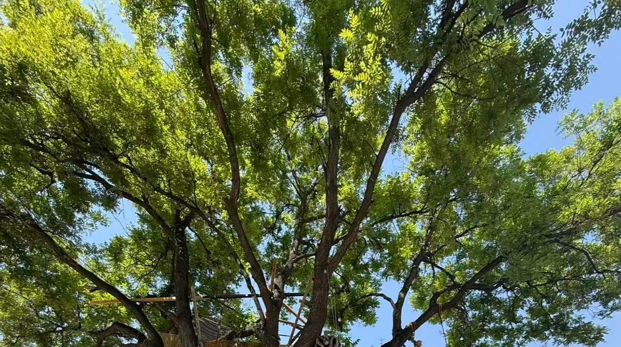 人到晚年，想活得舒心通透，只需做好两件事：守好自己，不渡他人。
 
第一件事：守