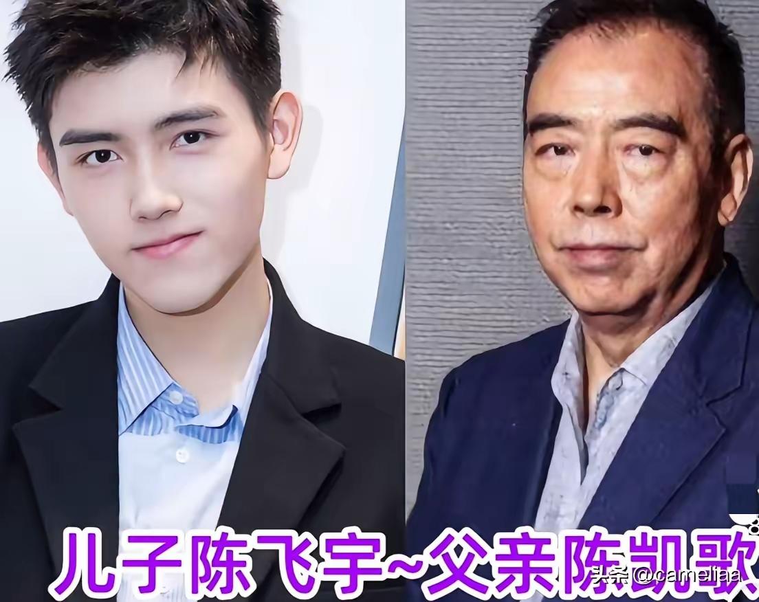父子同框，这颜值太能打了，血脉传承不止于颜值，老戏骨父子：陈凯歌父子，李彧父孑，