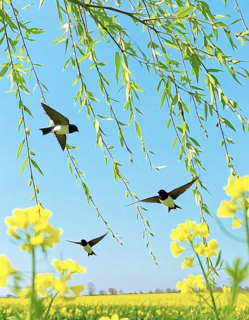 老人的责任就是把子女养大，任其自由飞翔！
现在快节奏的社会，不婚族子孩子很多，不