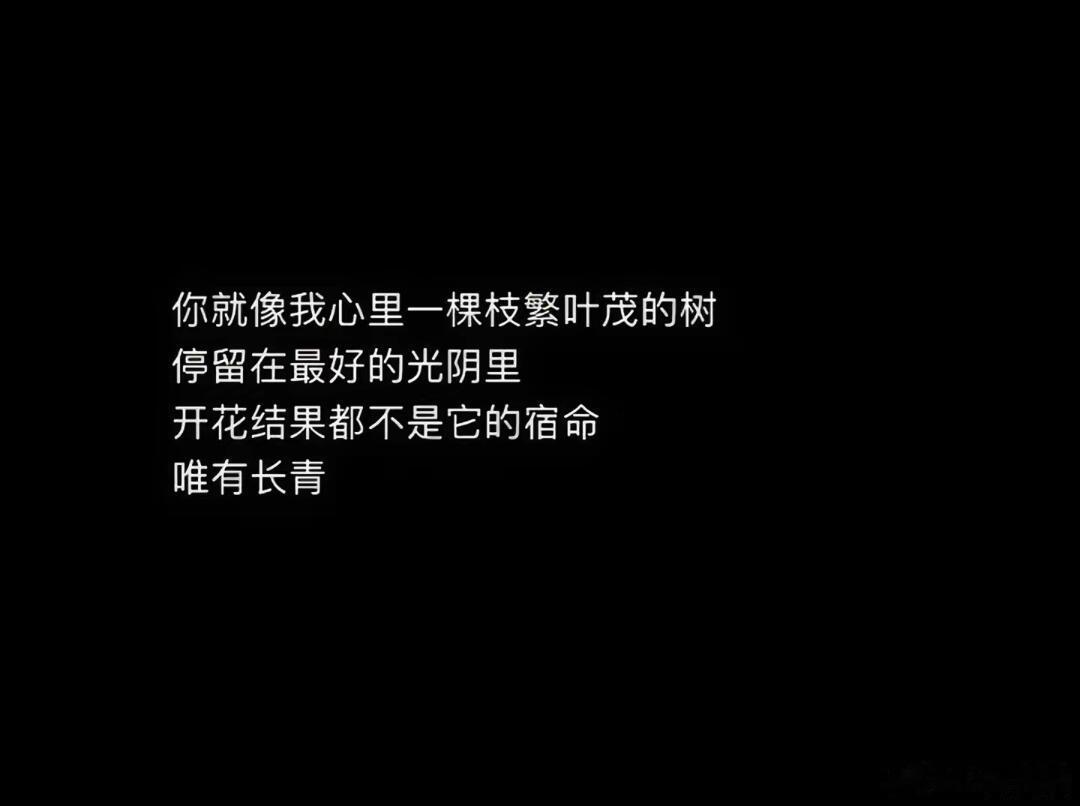“浅尝辄止，是命运轻轻放过了你我” ！！！ 