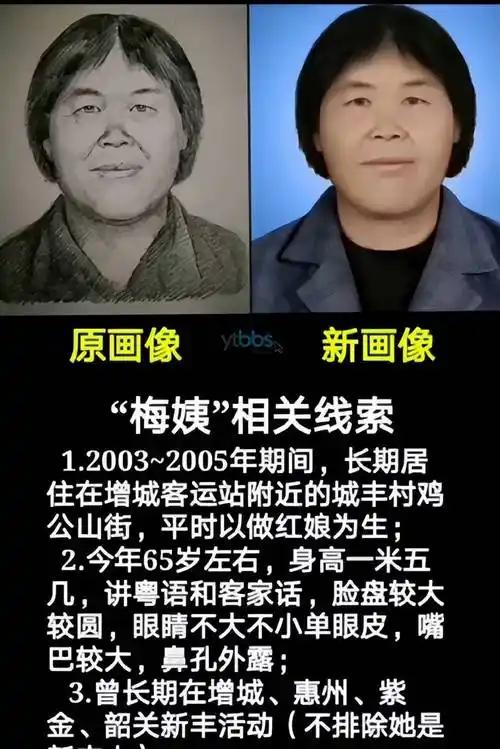 千万保护好74岁的“梅姨”，不能让她有意外。呼吁公开梅姨关键信息。“梅姨”落网本