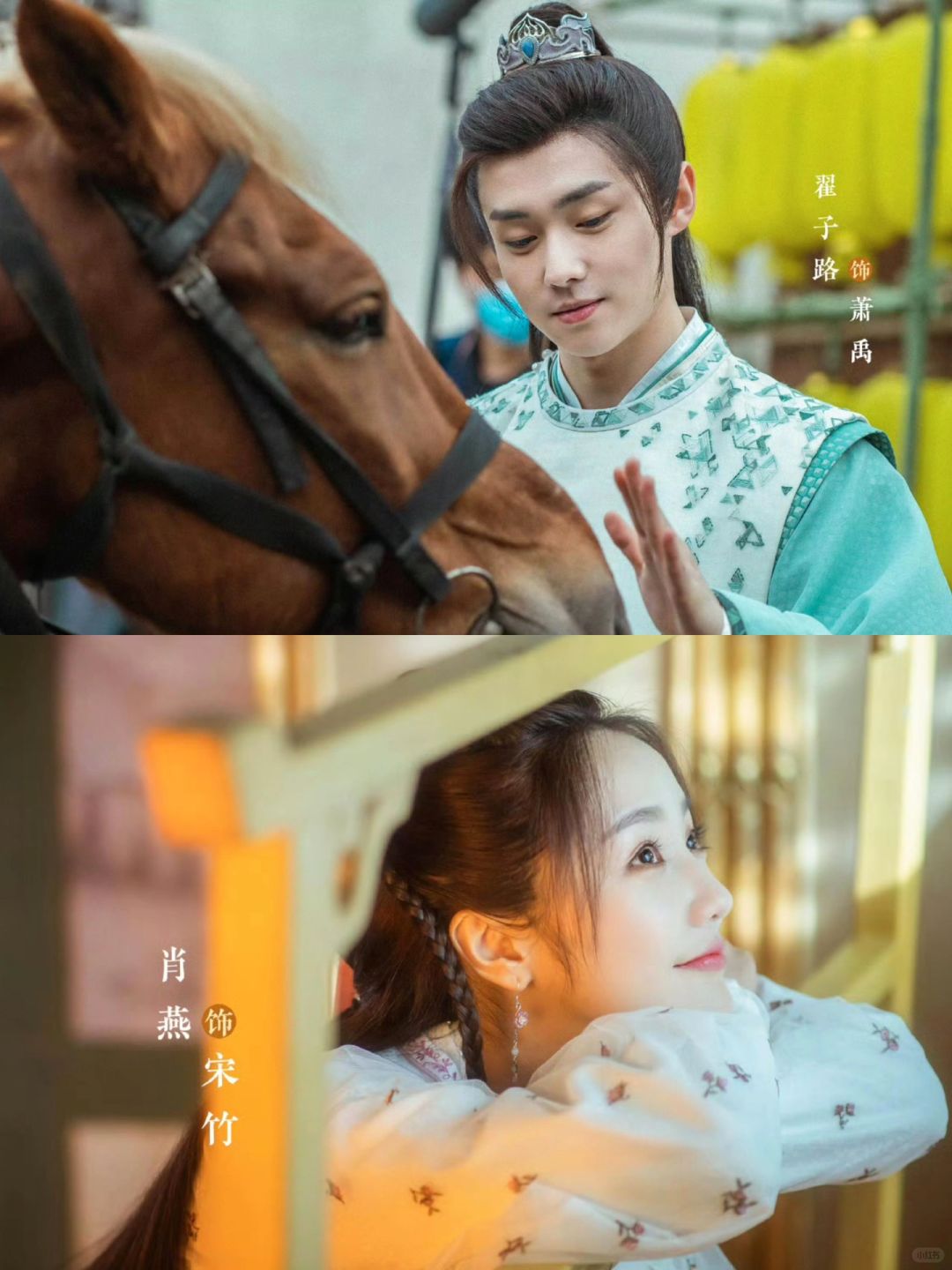 鬼马少女❌腹黑少爷‼️超甜喜剧🔥秦霄贤客串