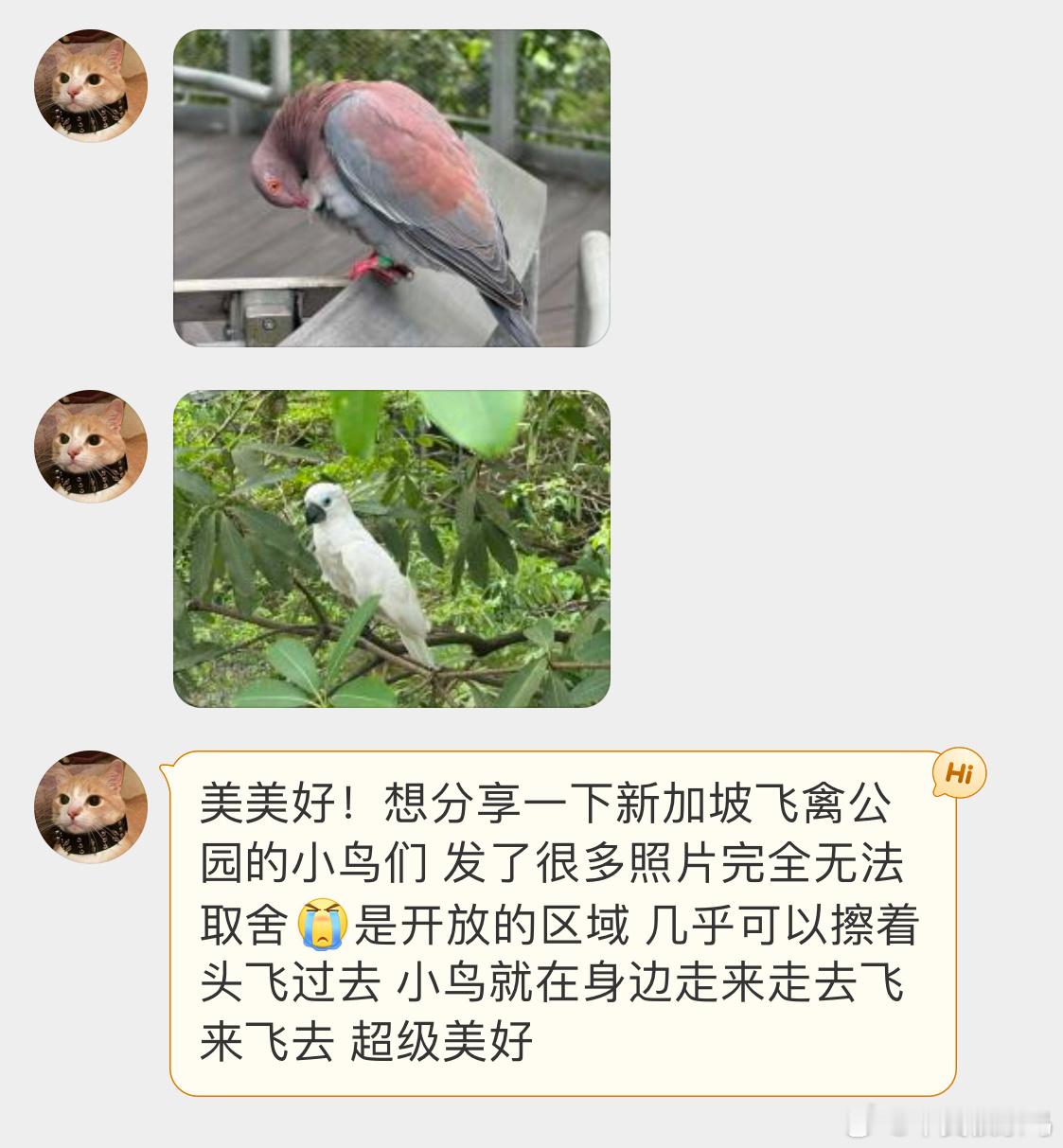 飞禽公园里的小鸟们🐦 ​​​