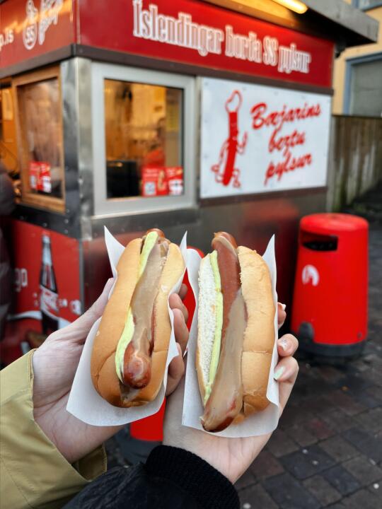 🇮🇸来冰岛不吃会后悔‼️🌭一口爆汁太顶了😭