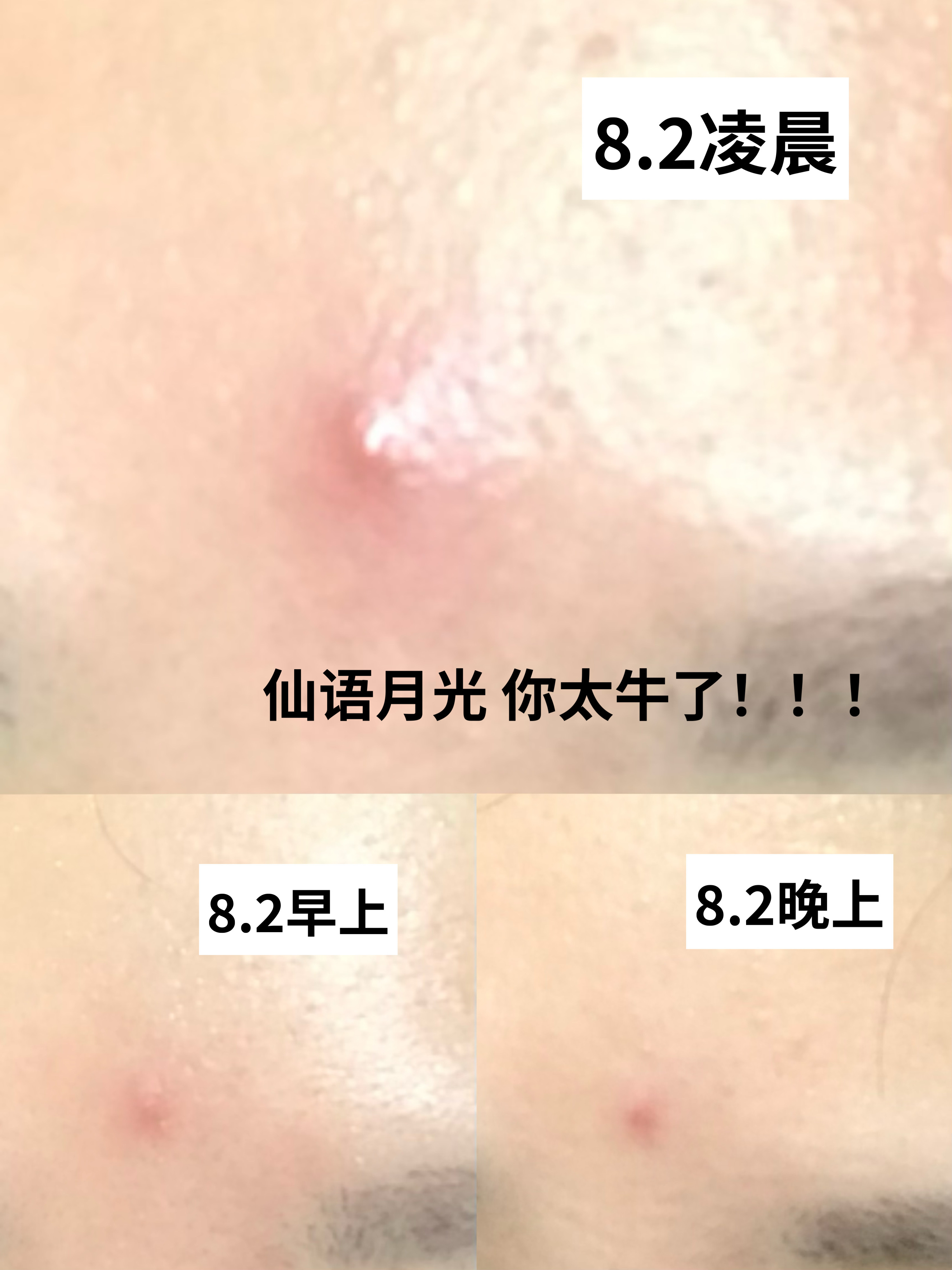 仙语记得买一下朋友们 置顶🔝今早记录 
