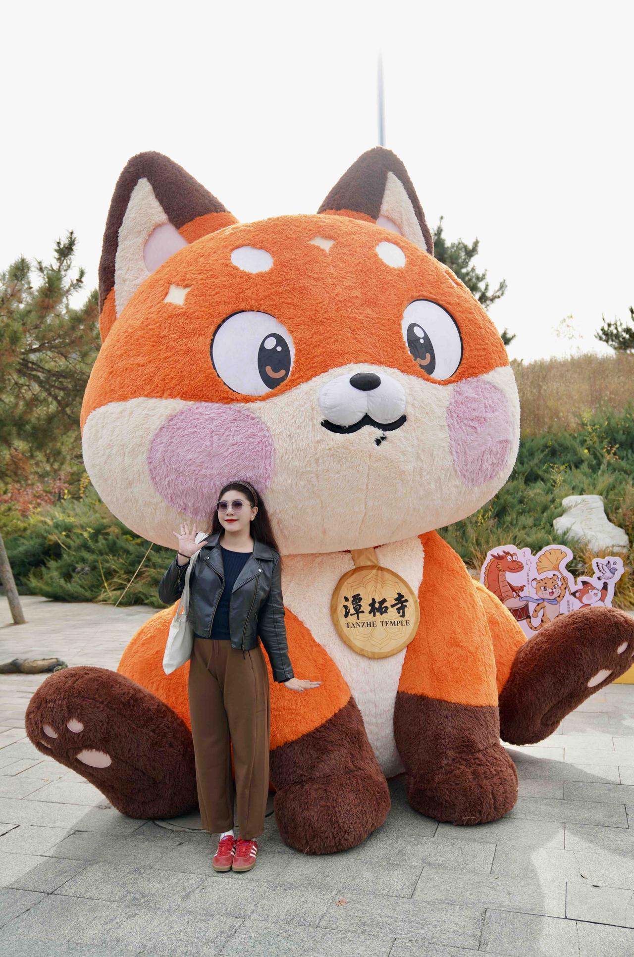 停车坐爱枫林晚，方知北京秋如画。若问秋意最浓处，当属千年潭柘寺。想必大家都听过这