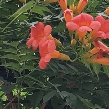 每日一善每日一善 人生需要四种人：名师指路，贵人相助，亲人支持，小人刺激！你能整
