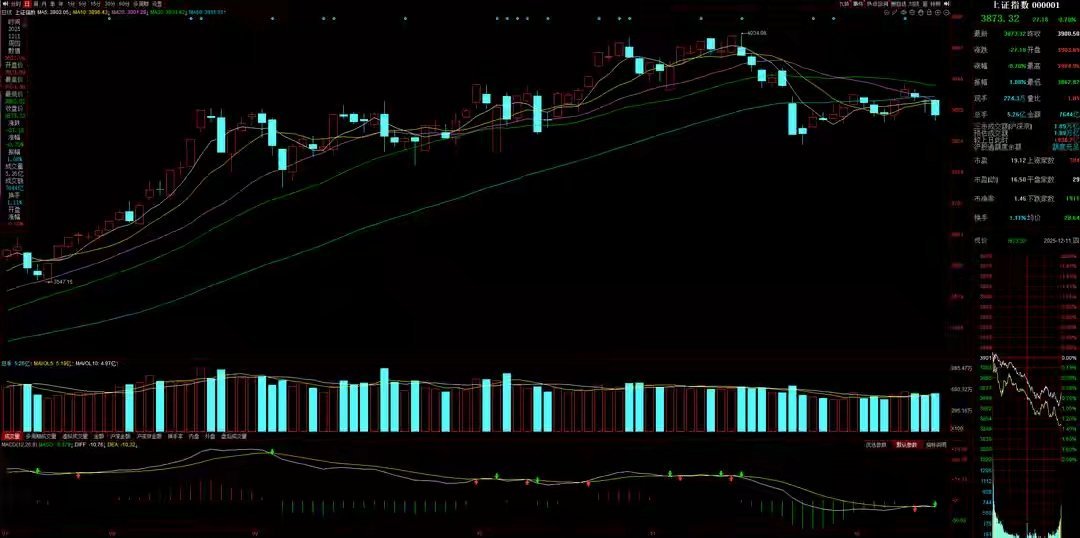12月12日A股策略：黑周四主力动向揭秘！交易数据释放关键信号专注A股市场每日实
