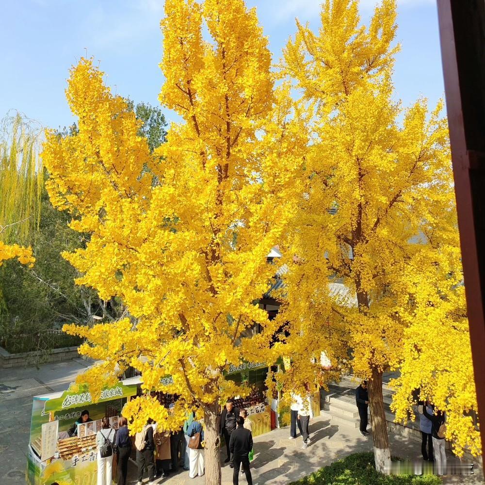 年底调薪，你们涨多少？

接到同事电话，闲聊了一会，说起来12月份，除了年底双薪