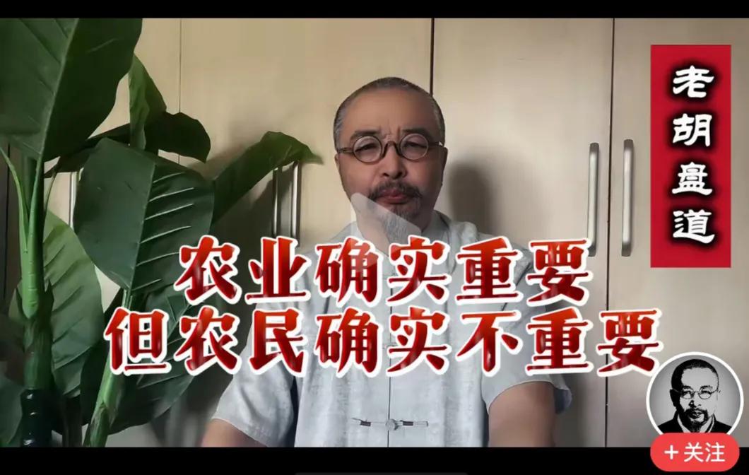 看到一个视频，有个老胡盘道说，农业确实重要，农民确实不重要。振振有词，说什么我们