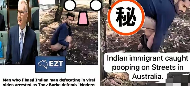 印度移民在澳大利亚，在公共场所公开排便，被一名白人拍摄举报！你猜结果怎么着？那名