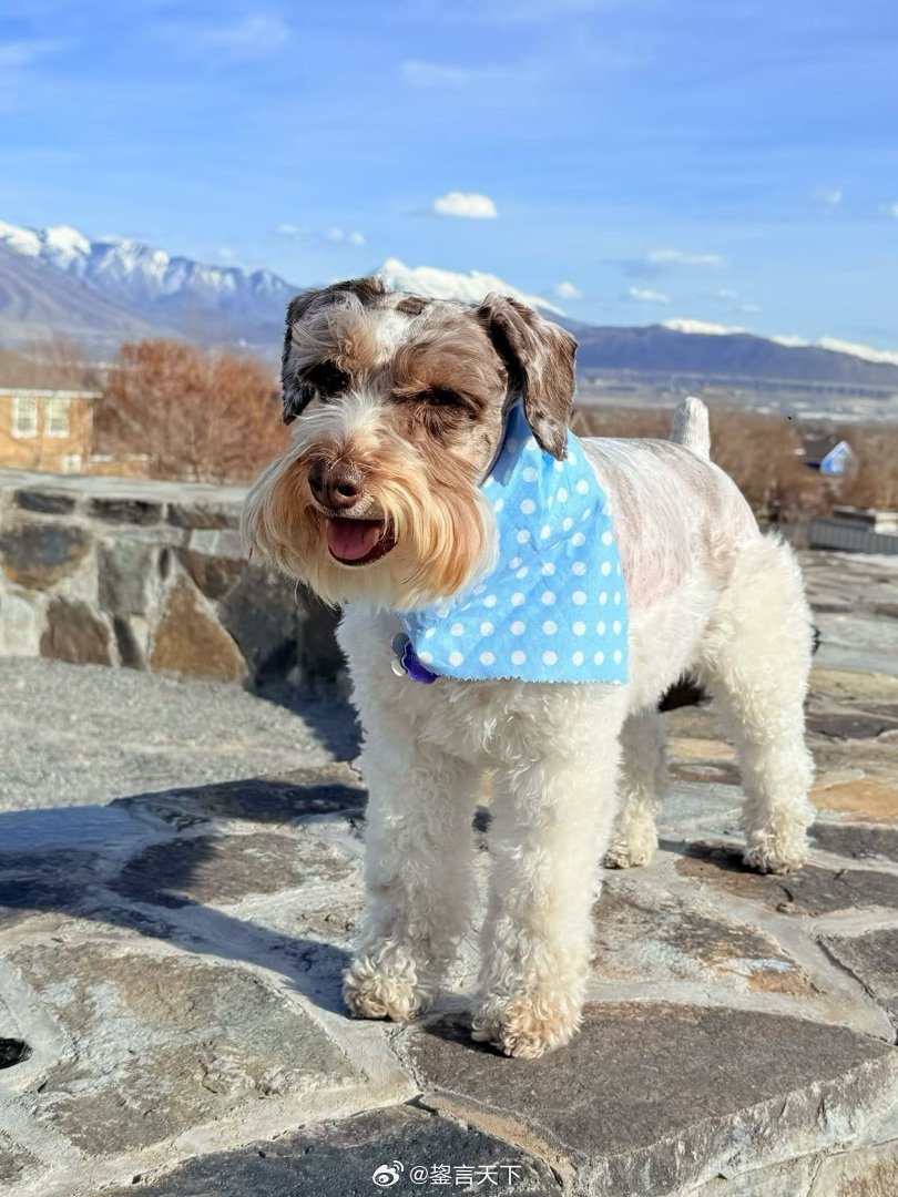 昨天吉哥过生日，一整天都是笑嘻嘻的。 乖妈摄影 